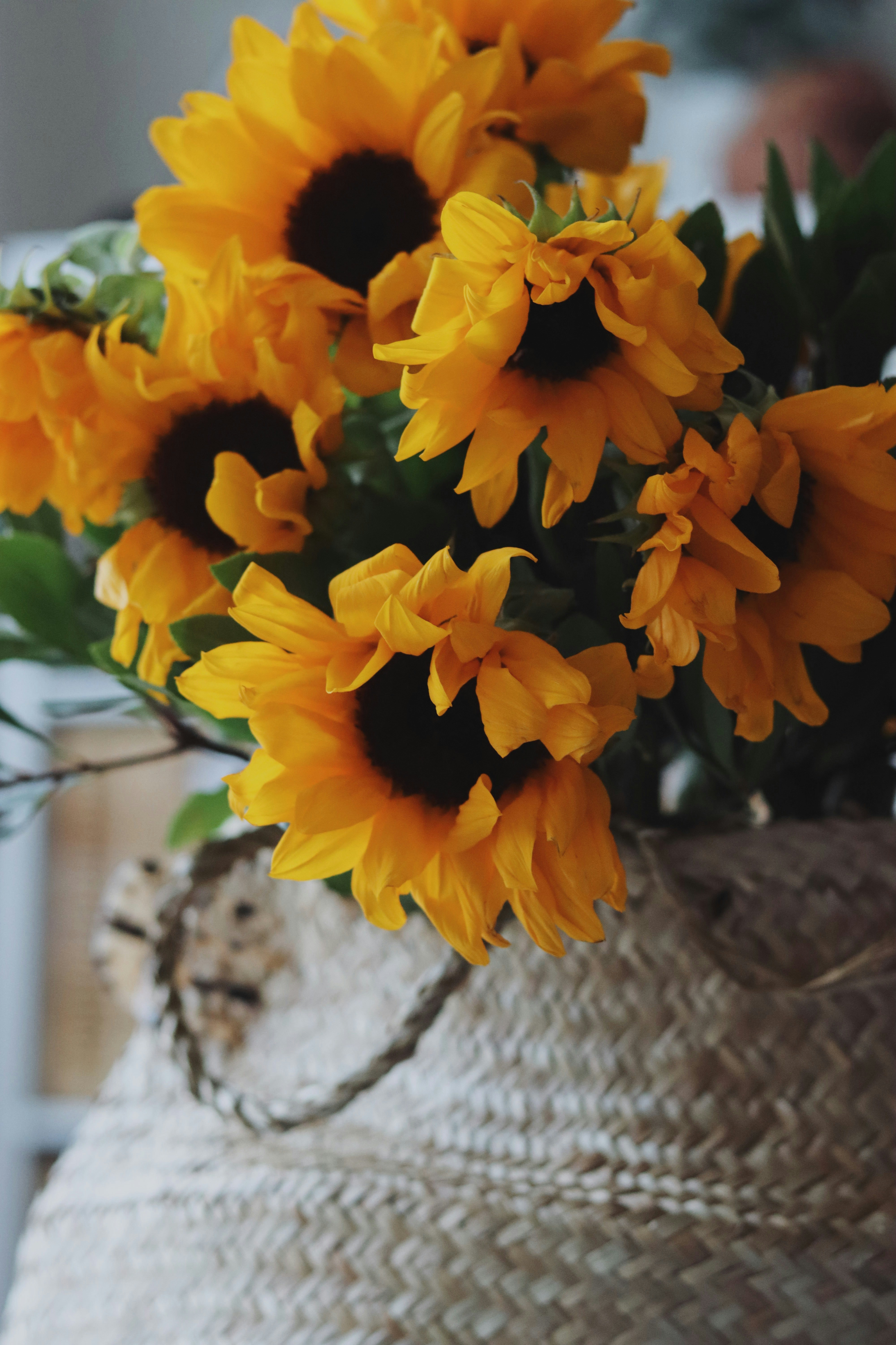 A vase filled with yellow flowers on top of a table photo – Free Plant ...