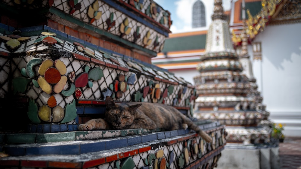 a cat is laying on a colorful bench