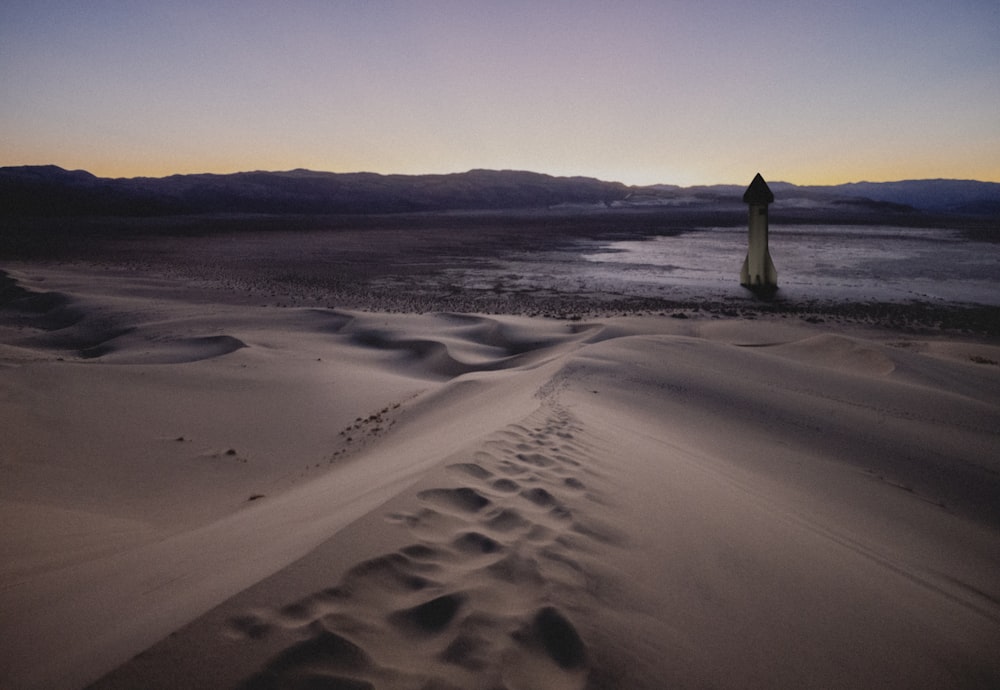 a person standing in the middle of a desert