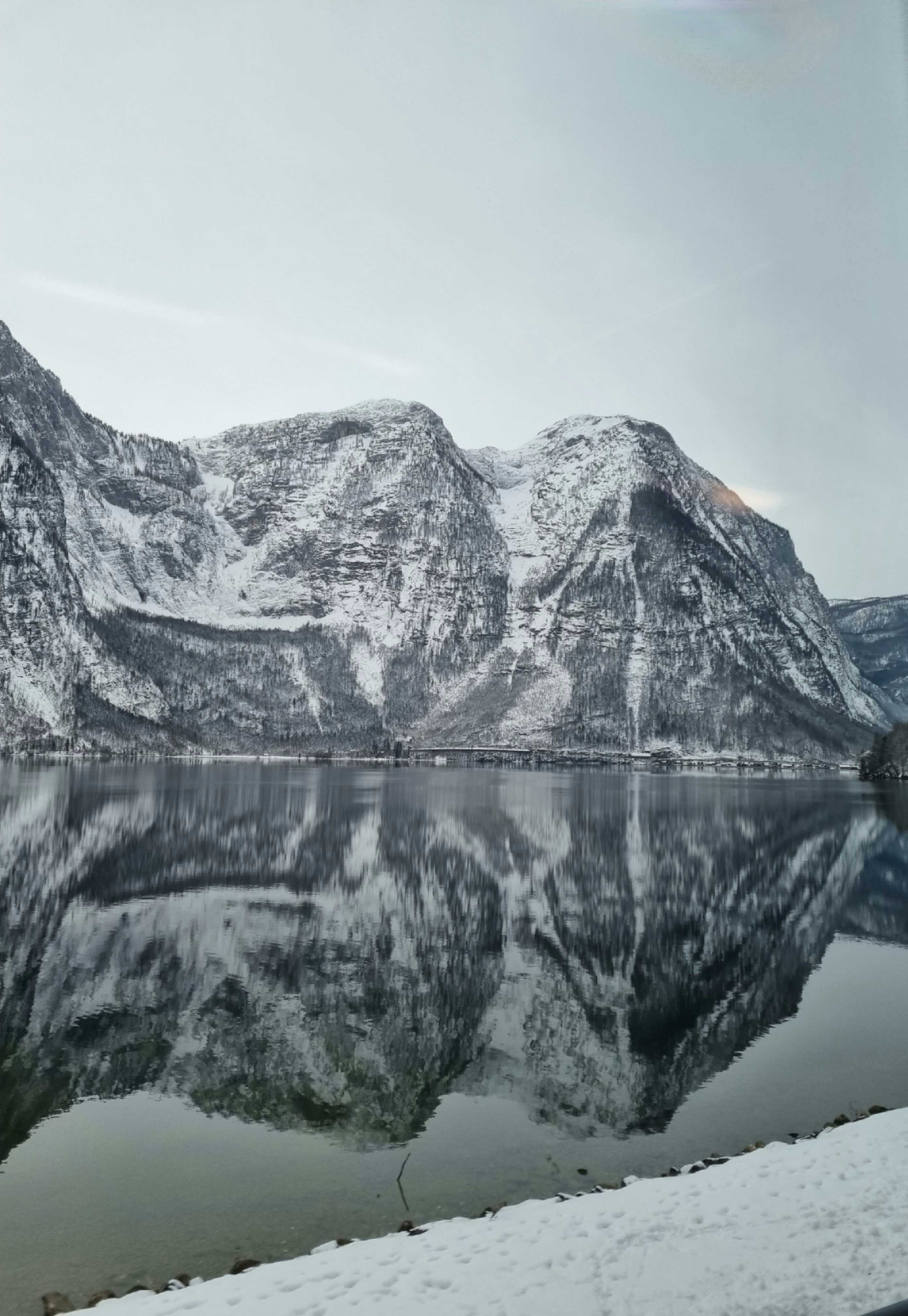 Photo by lazargugleta