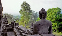 Ancient Buddha statue carved into a mountainside surrounded by pine trees.