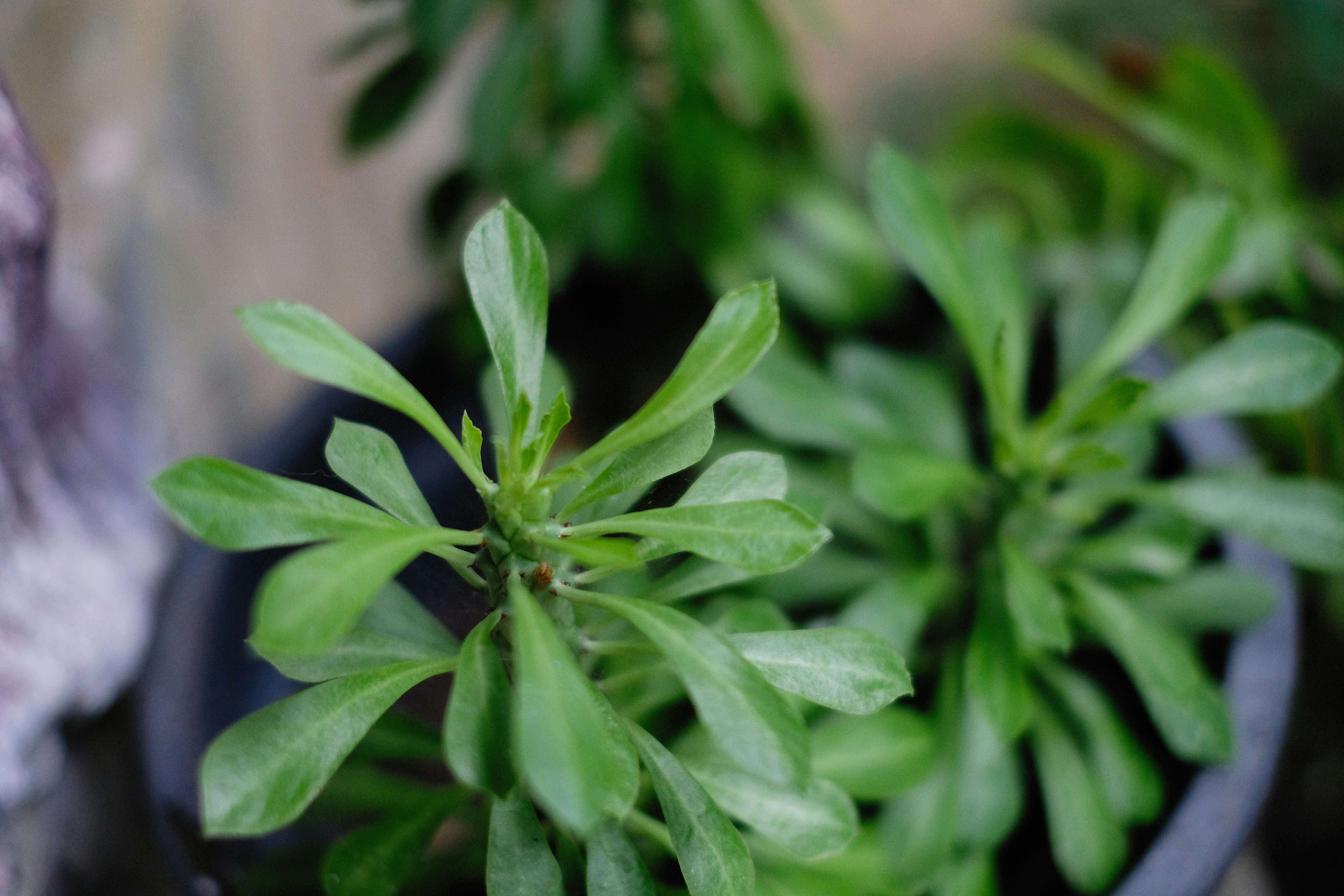 Photo by alexeydemidov