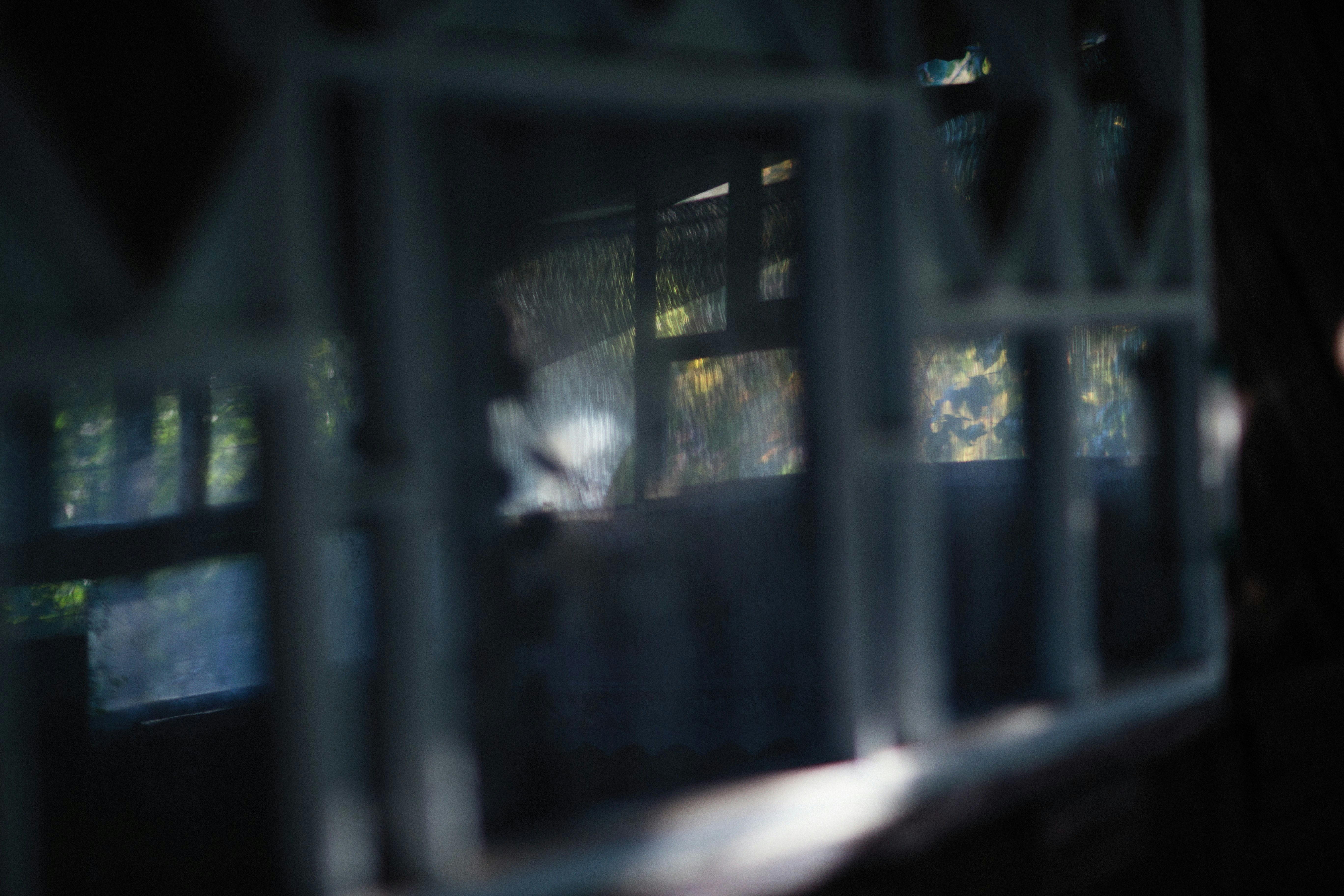 Photo by alexeydemidov