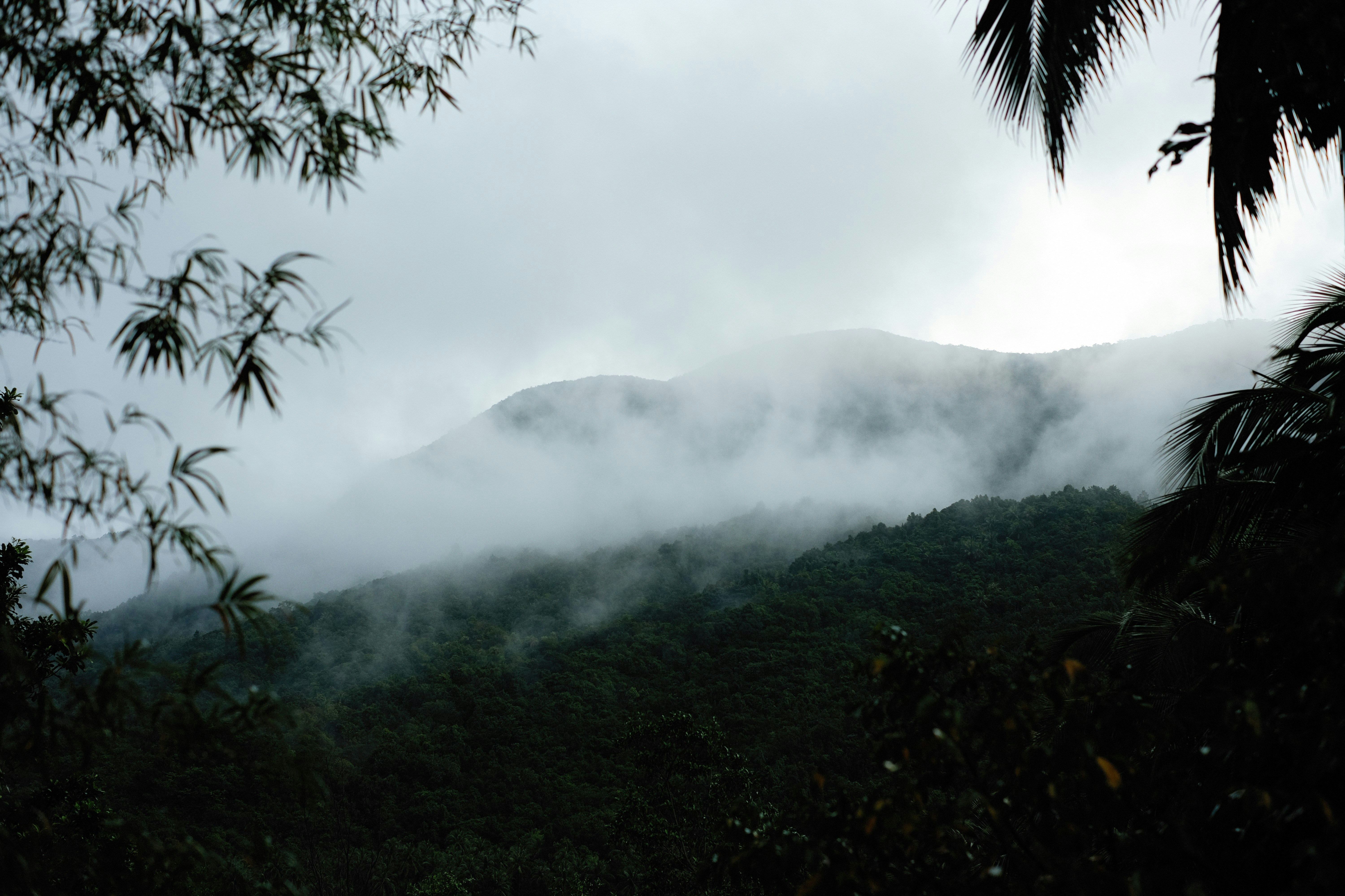 Photo by alexeydemidov