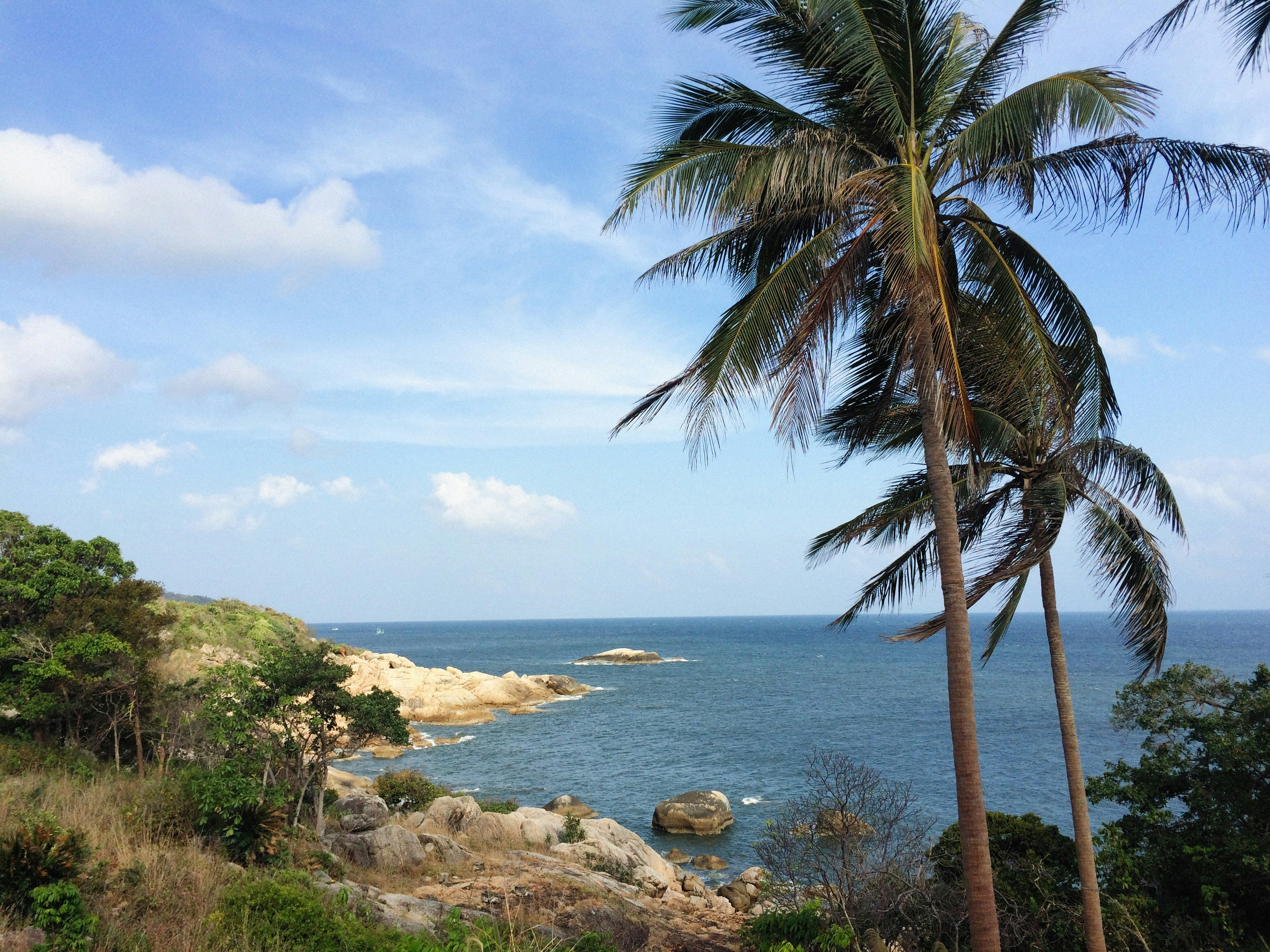 Photo by alexeydemidov