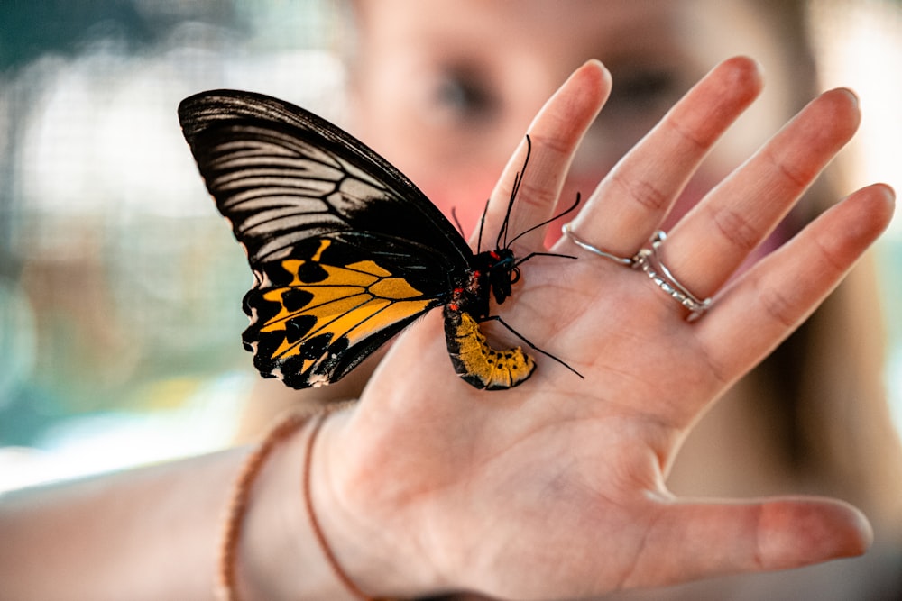 a woman holding a butterfly in her hand