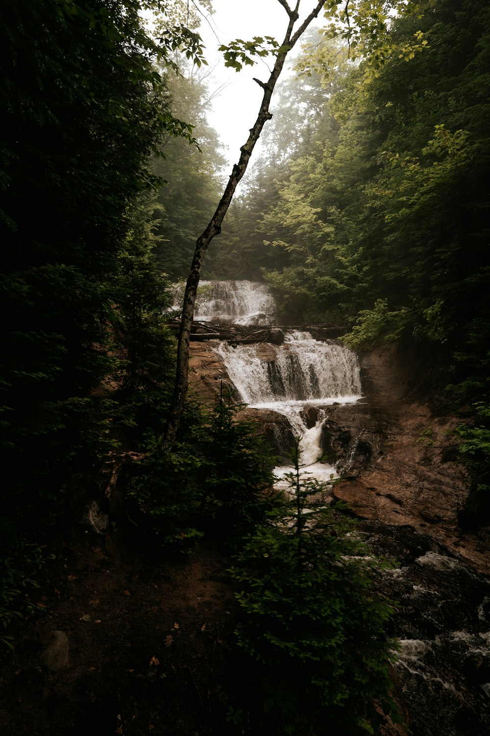 a waterfall in the middle of a forest