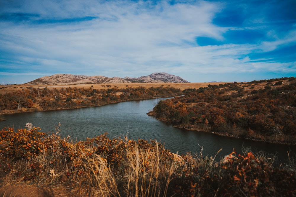 a body of water surrounded by dry grass and trees