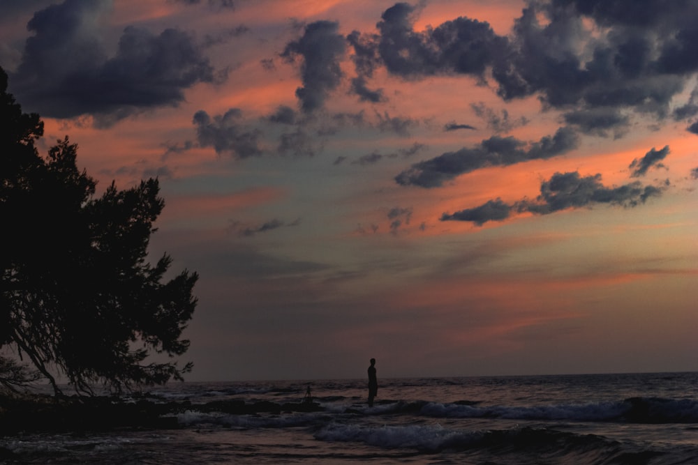 a man standing on a beach next to a tree