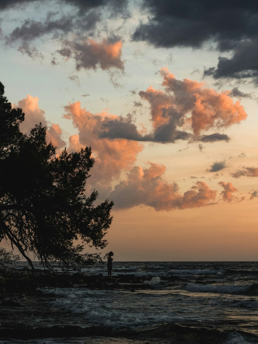 a person standing on a beach next to a tree