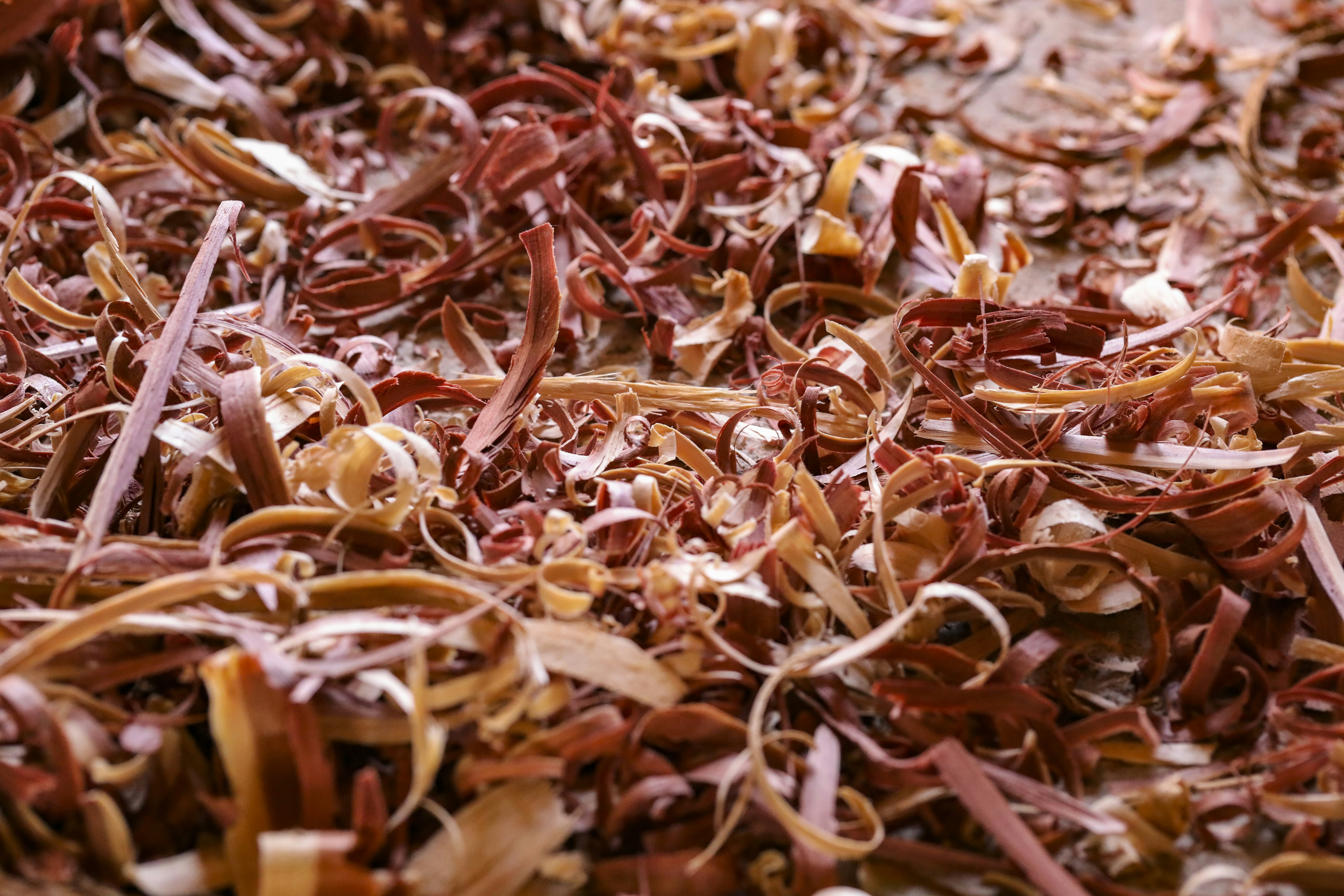 Photo by rocinante_11