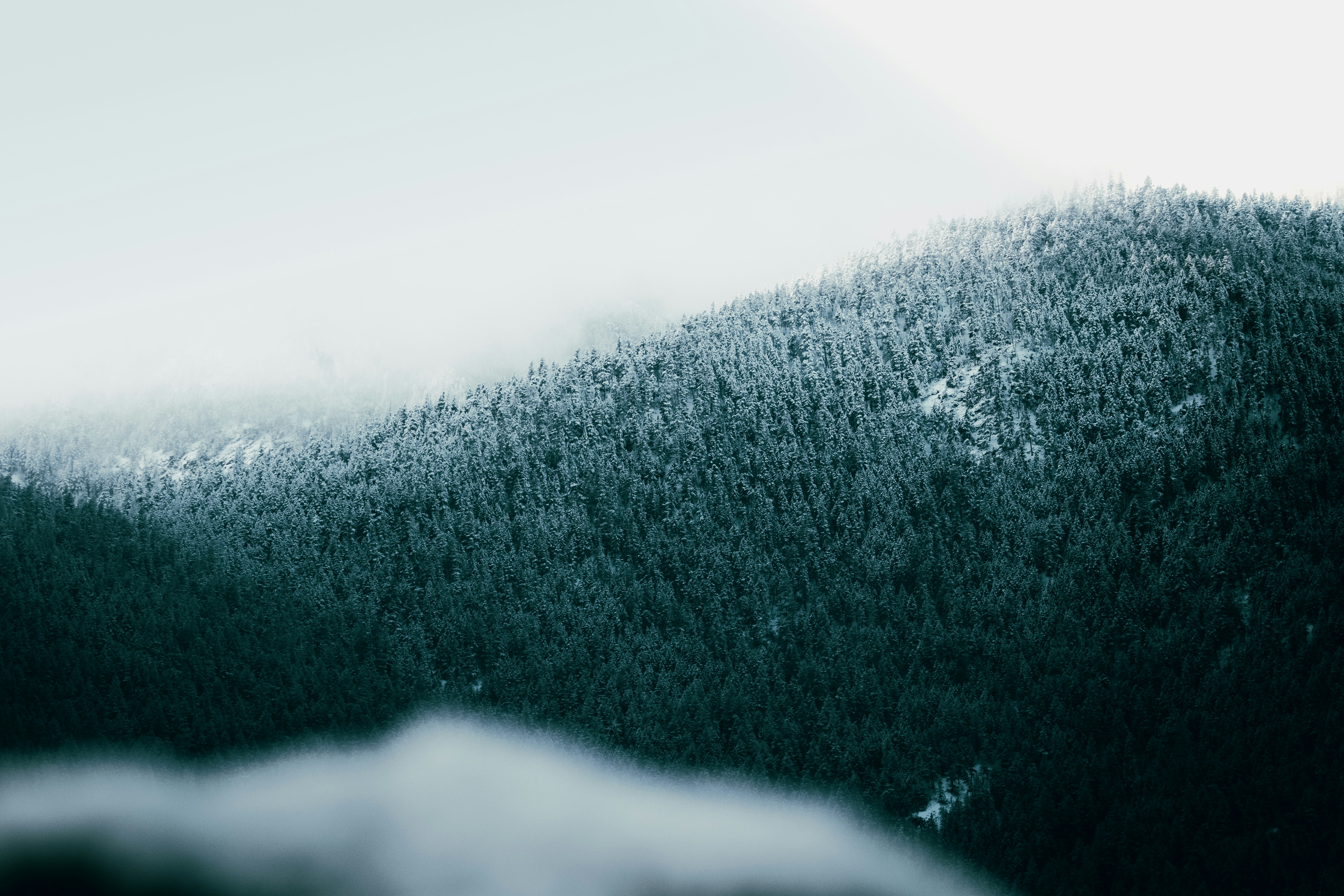 Photo by jonathanl_91