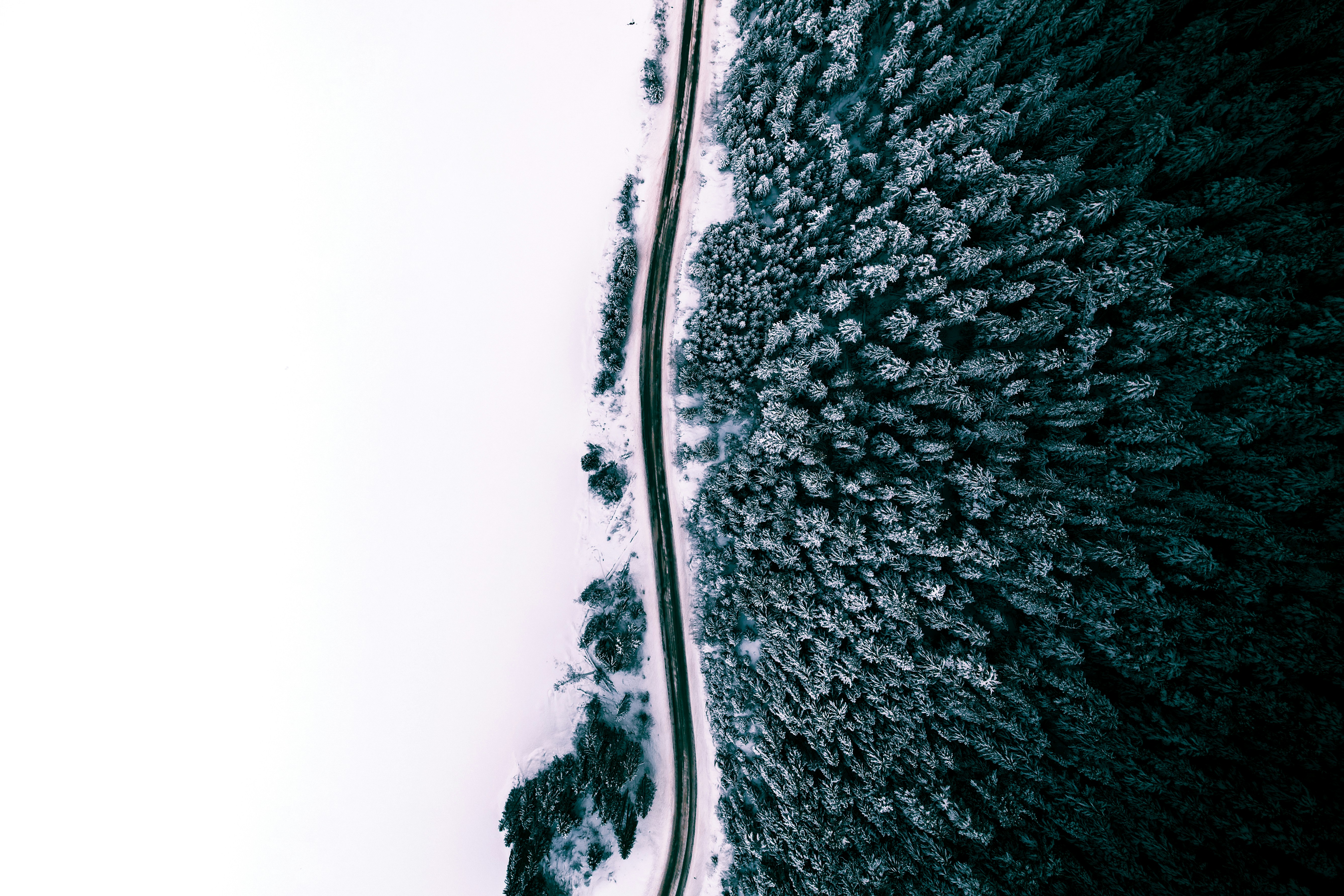an aerial view of a road through a forest