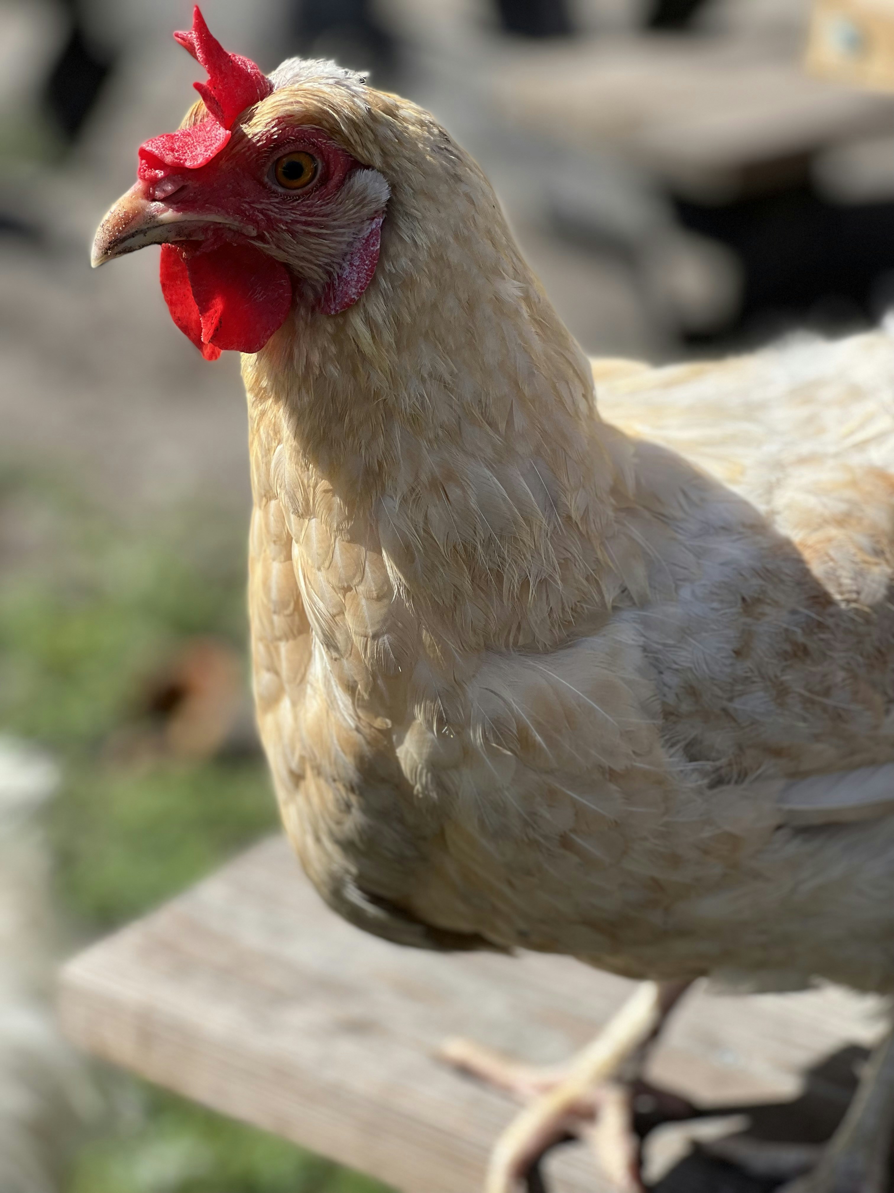 Photo by lenafedorov