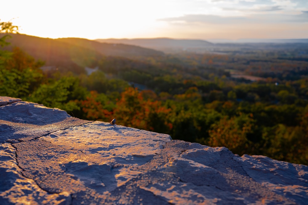 the sun is setting over the mountains and trees