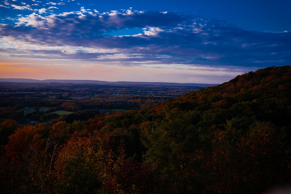 a scenic view of a valley with trees in the foreground