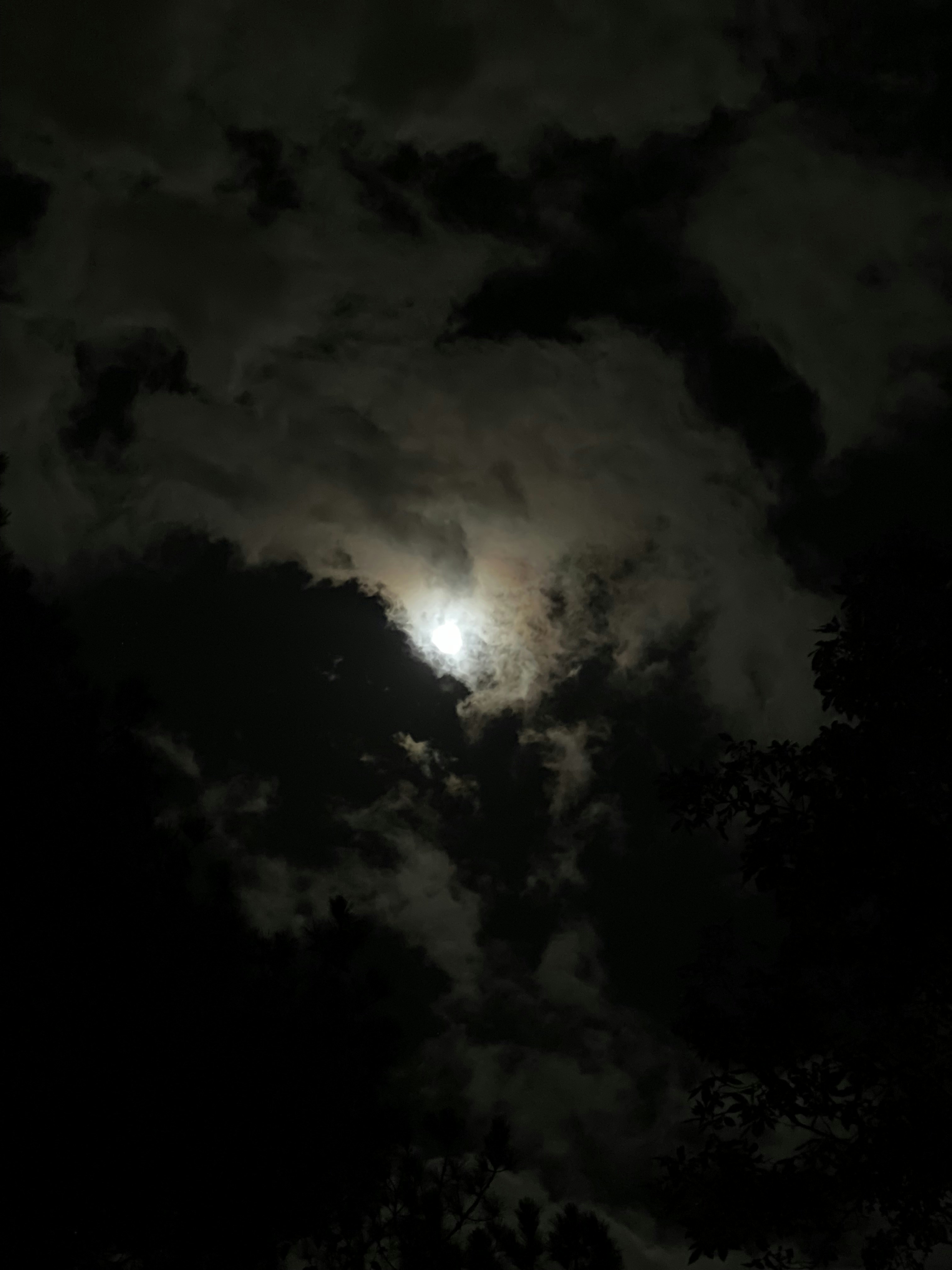 Photo by 2jw