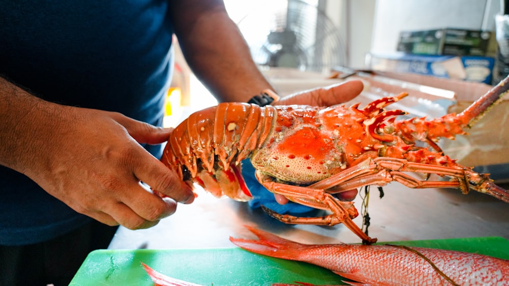 une personne tenant un homard sur une table