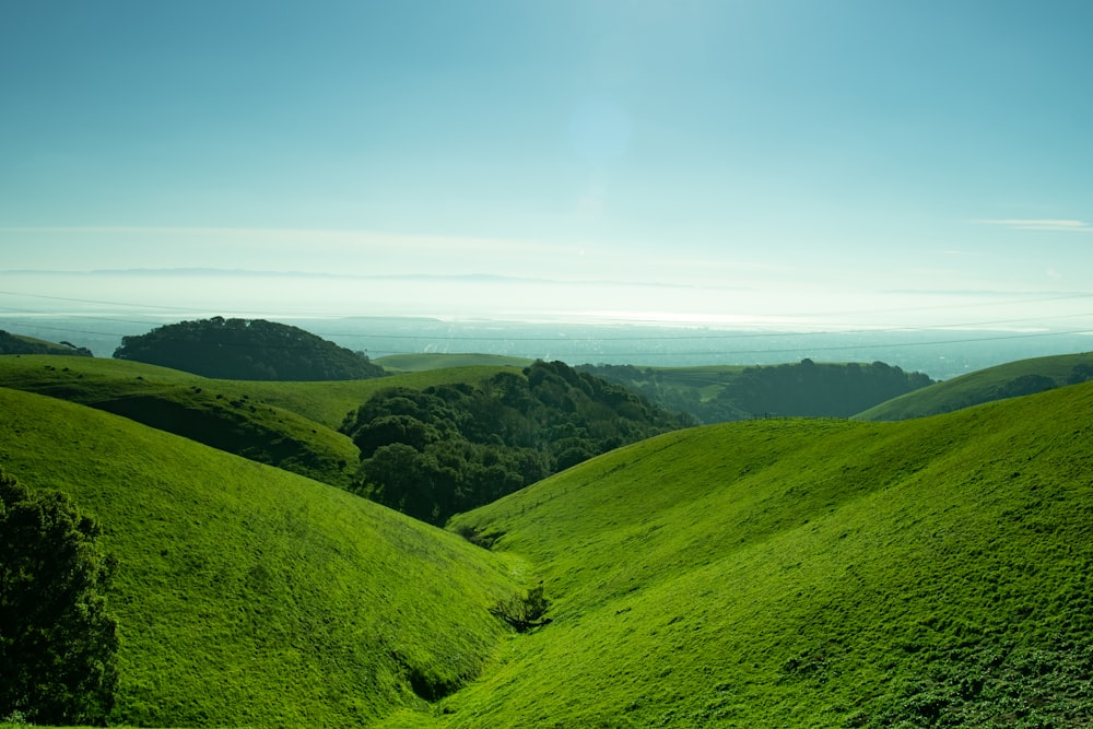 una collina verde lussureggiante coperta di erba verde lussureggiante