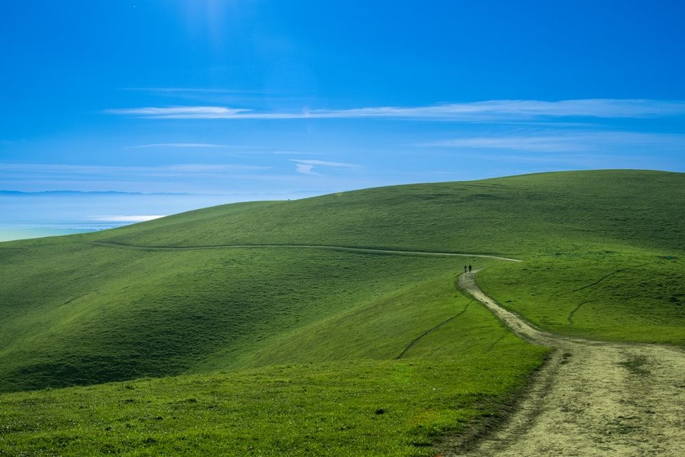 a dirt road going through a lush green hillside