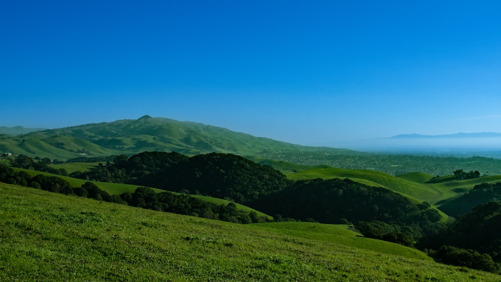 a lush green hillside covered in lush green grass