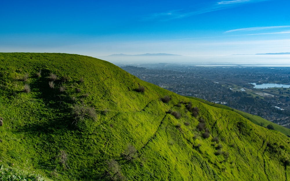 a lush green hillside covered in lots of grass