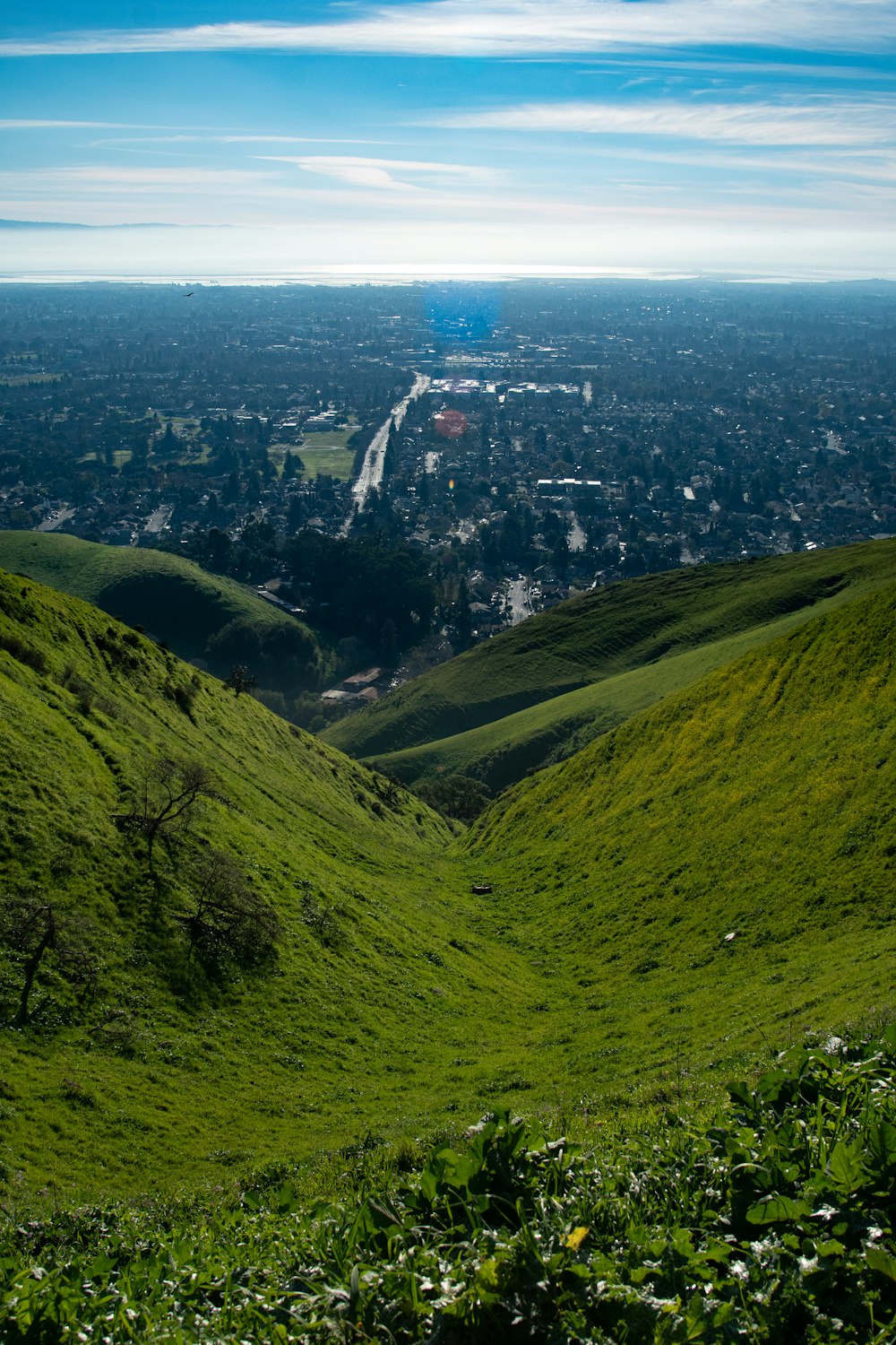 a lush green hillside with a city in the distance