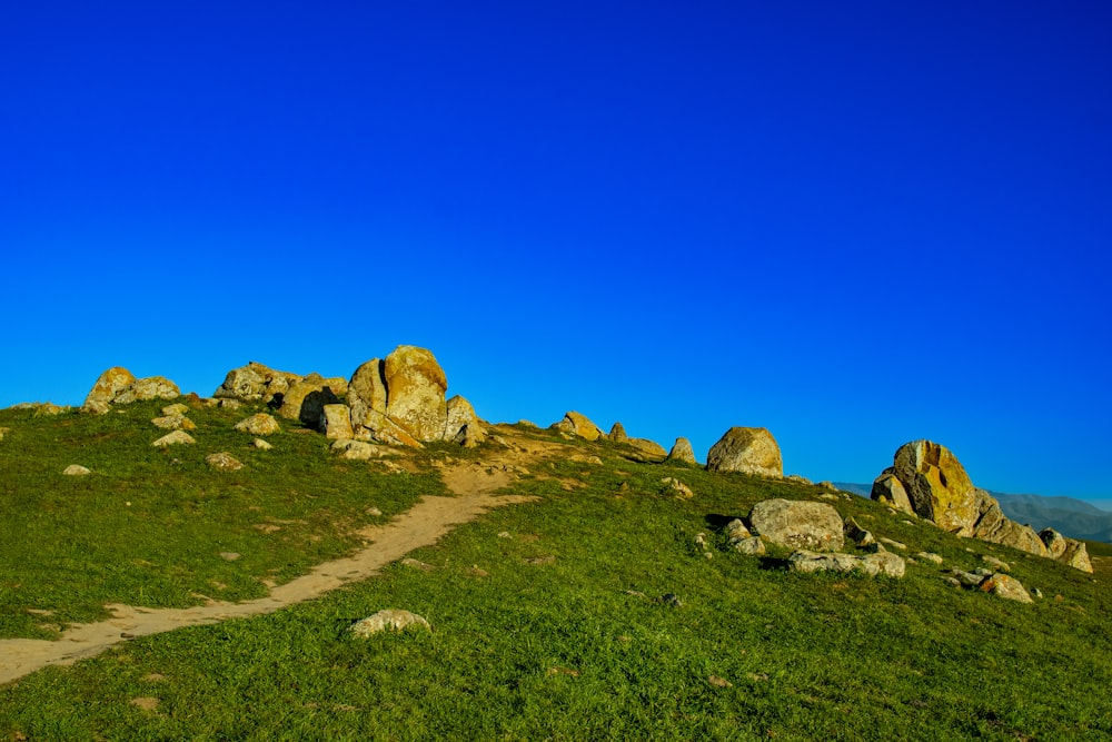 a grassy hill with rocks and grass on it