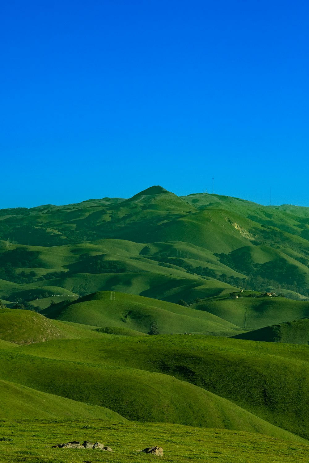 Una cordillera verde con ovejas pastando en primer plano