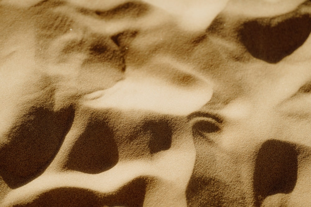 a close up of a sand covered ground