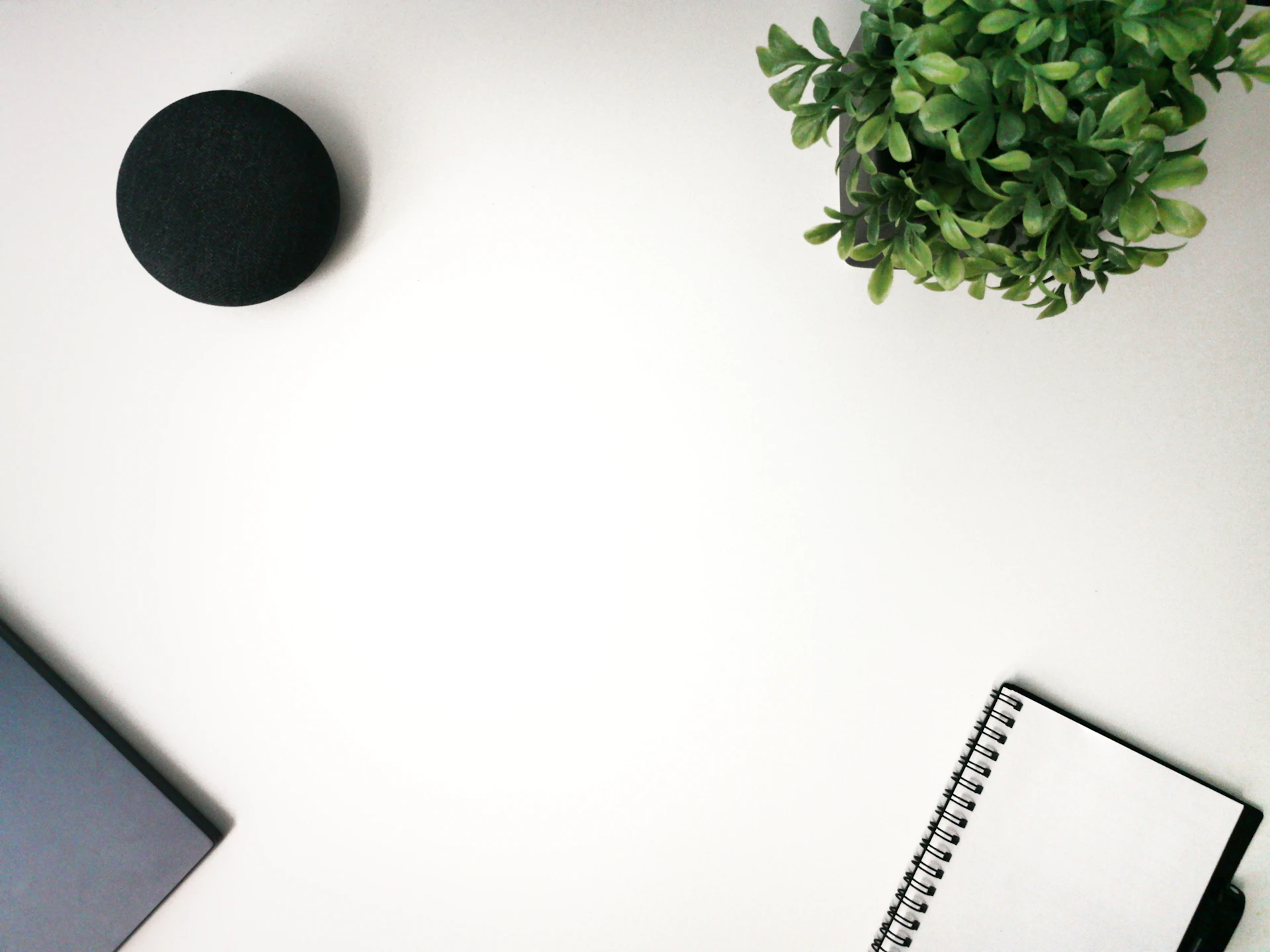 a desk with a laptop and a potted plant