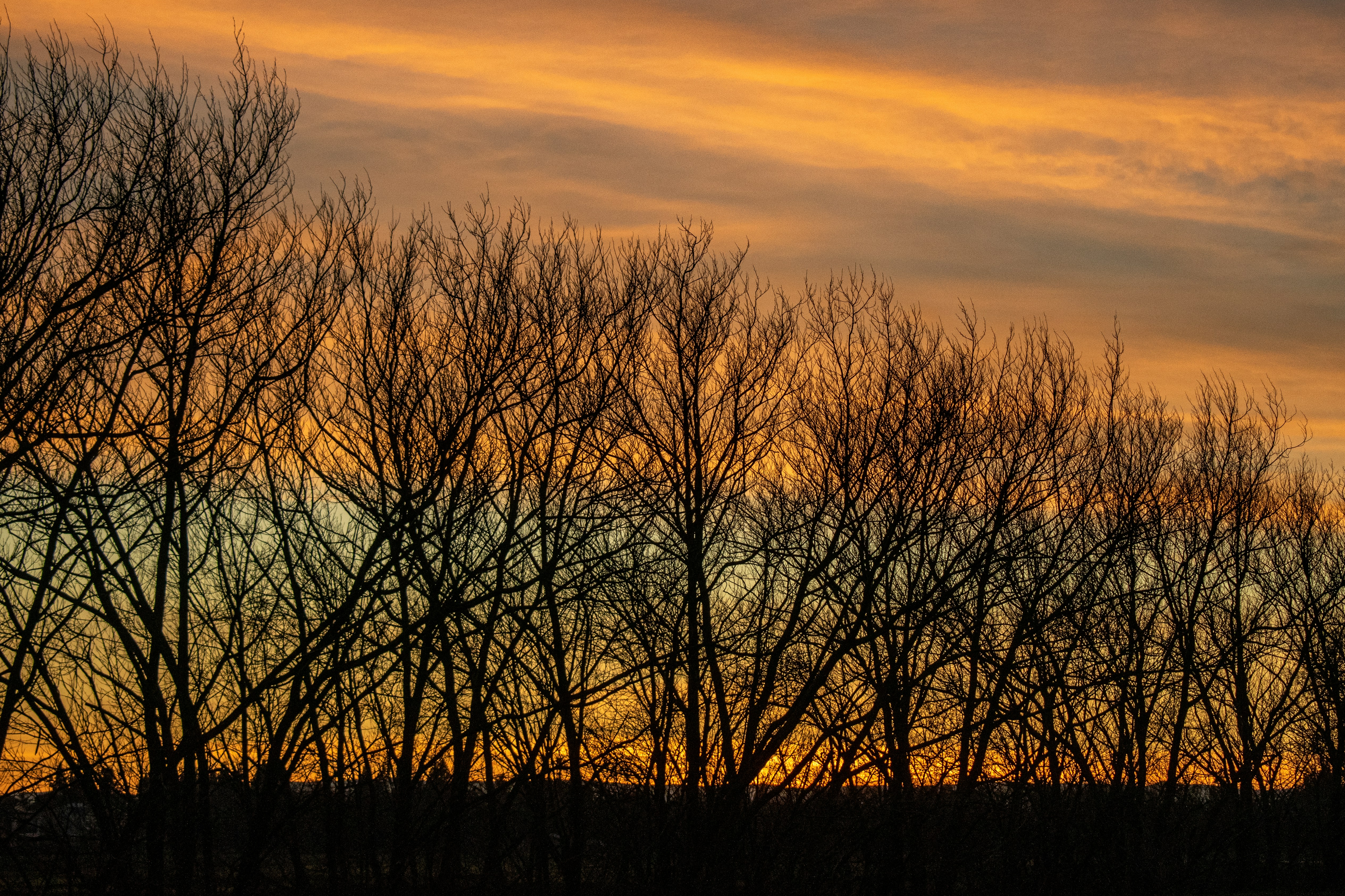 Photo by elisastonephotography