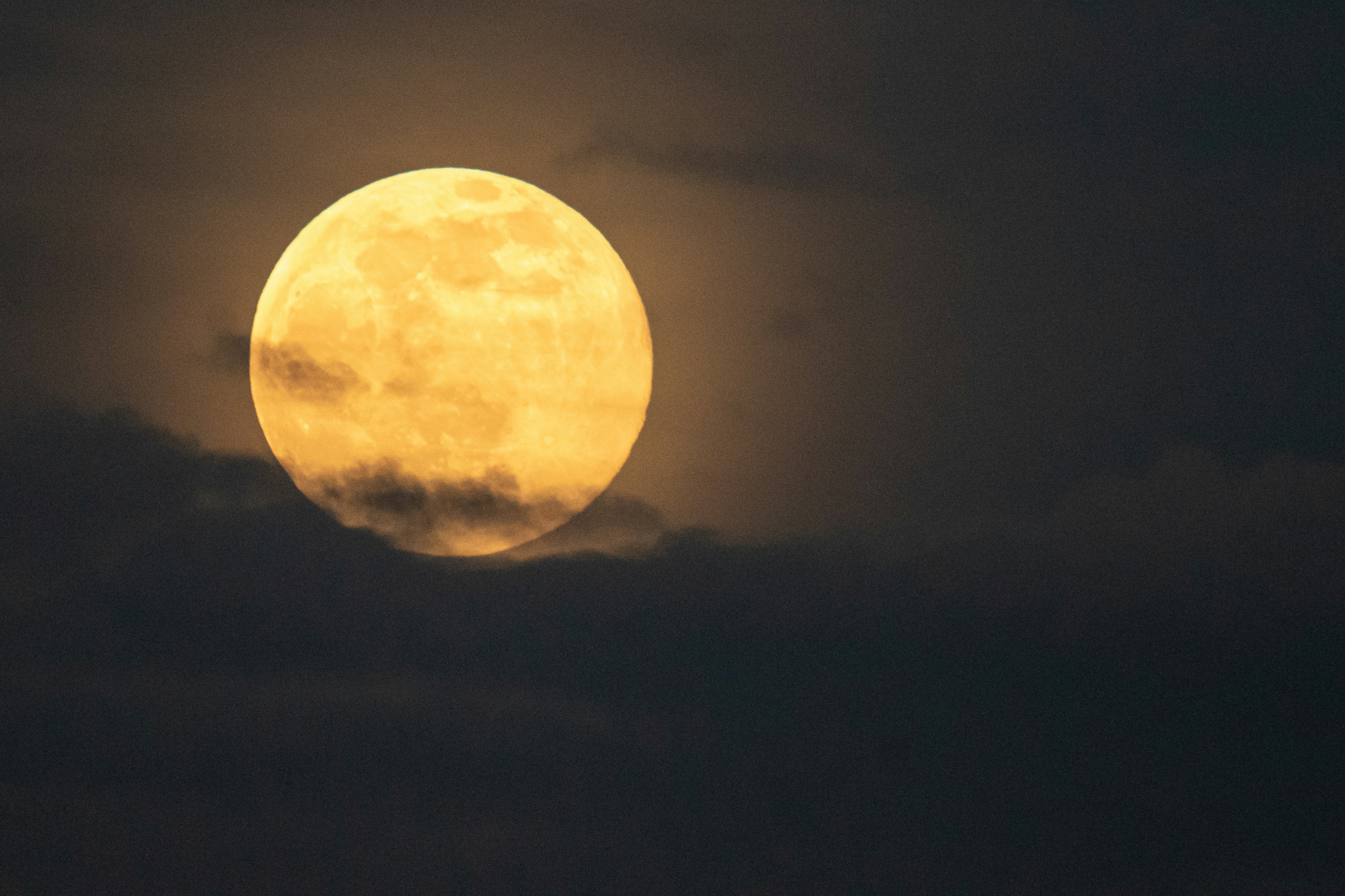 Photo by elisastonephotography