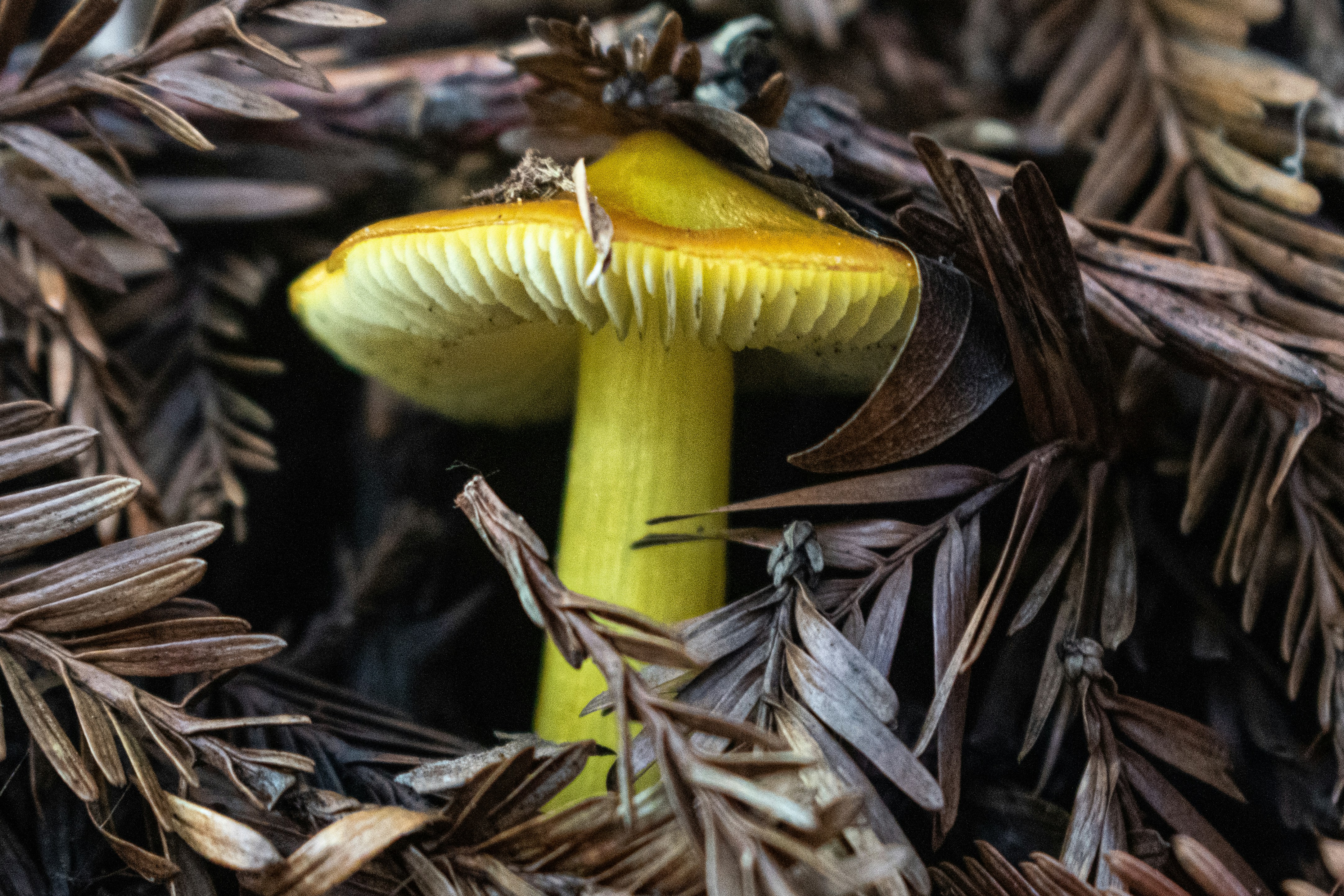 Photo by elisastonephotography