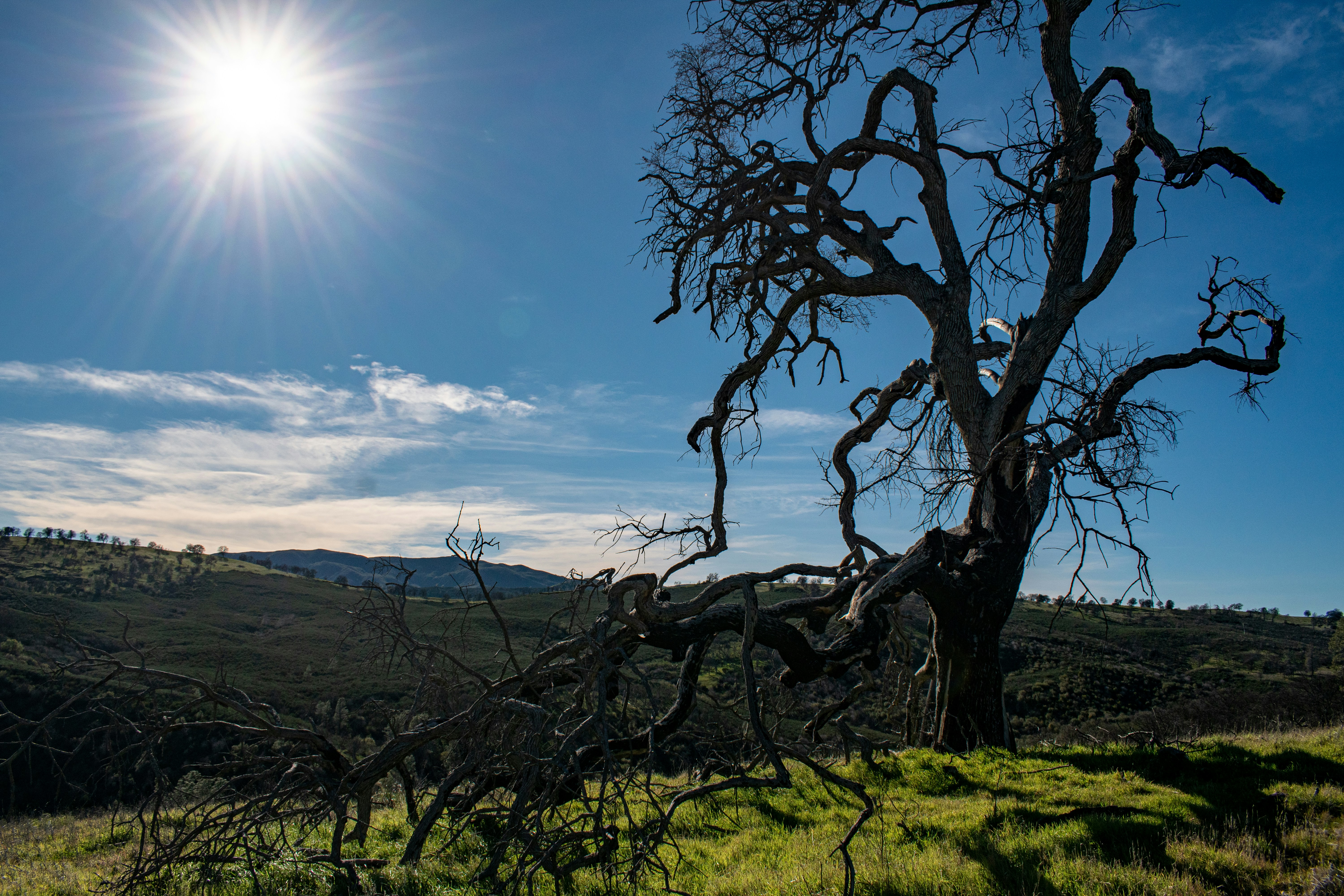 Photo by elisastonephotography