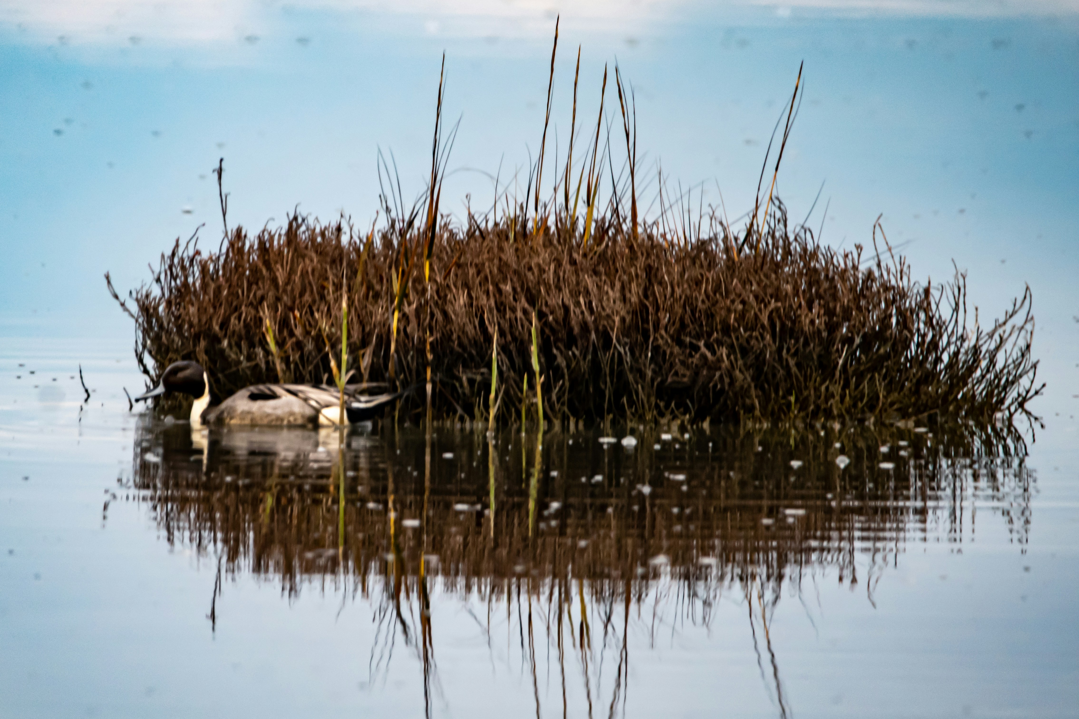 Photo by elisastonephotography