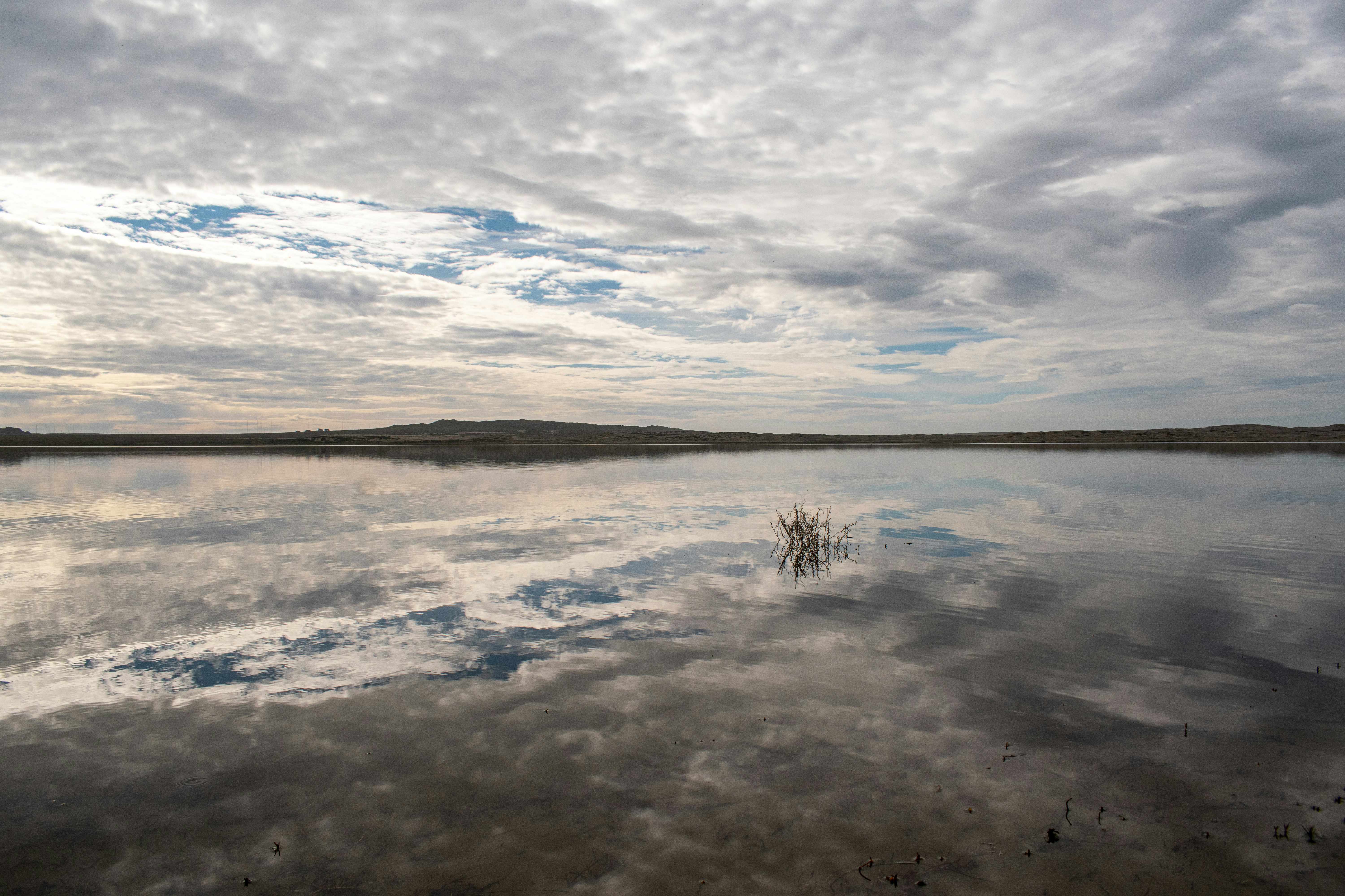 Photo by elisastonephotography