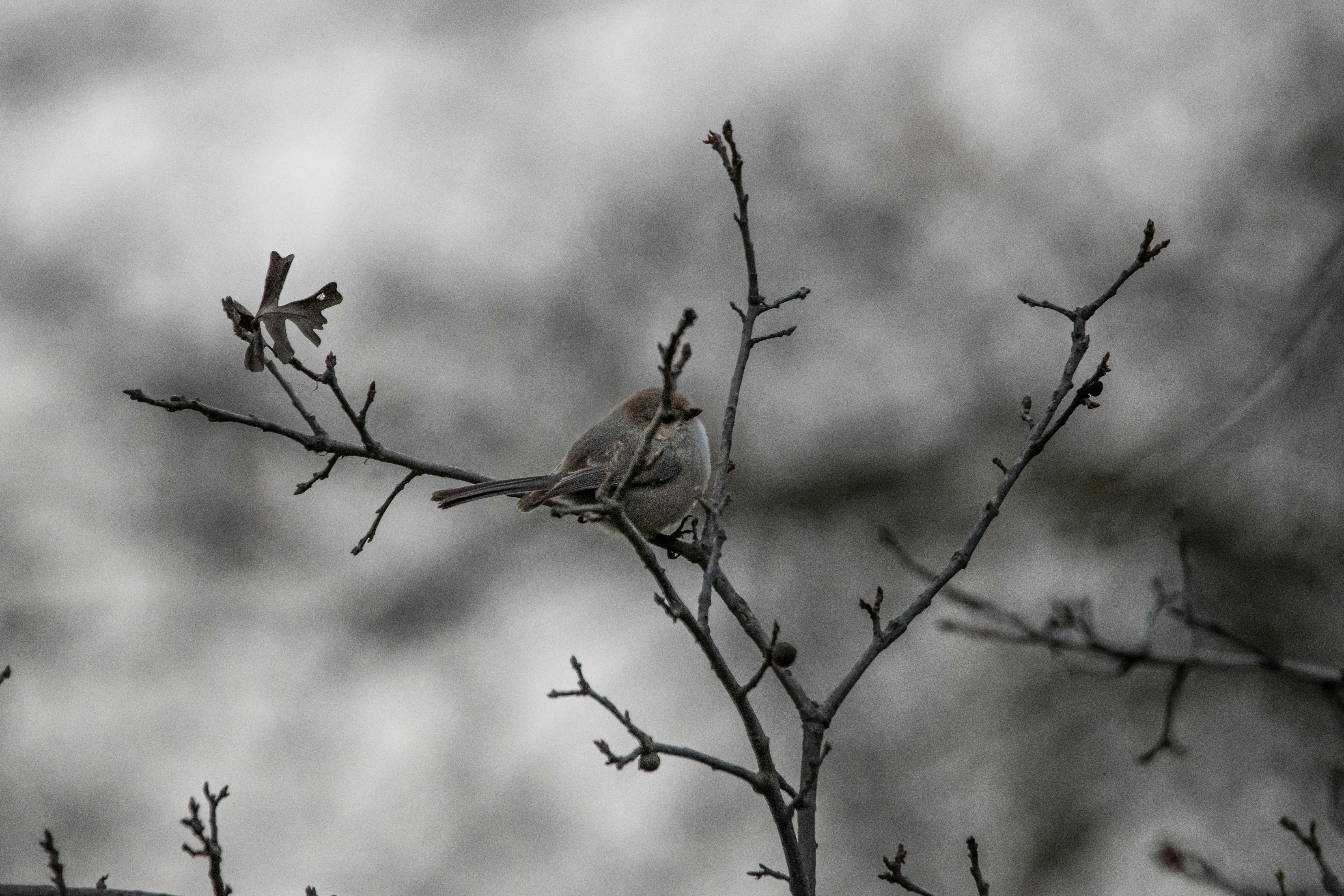 Photo by elisastonephotography