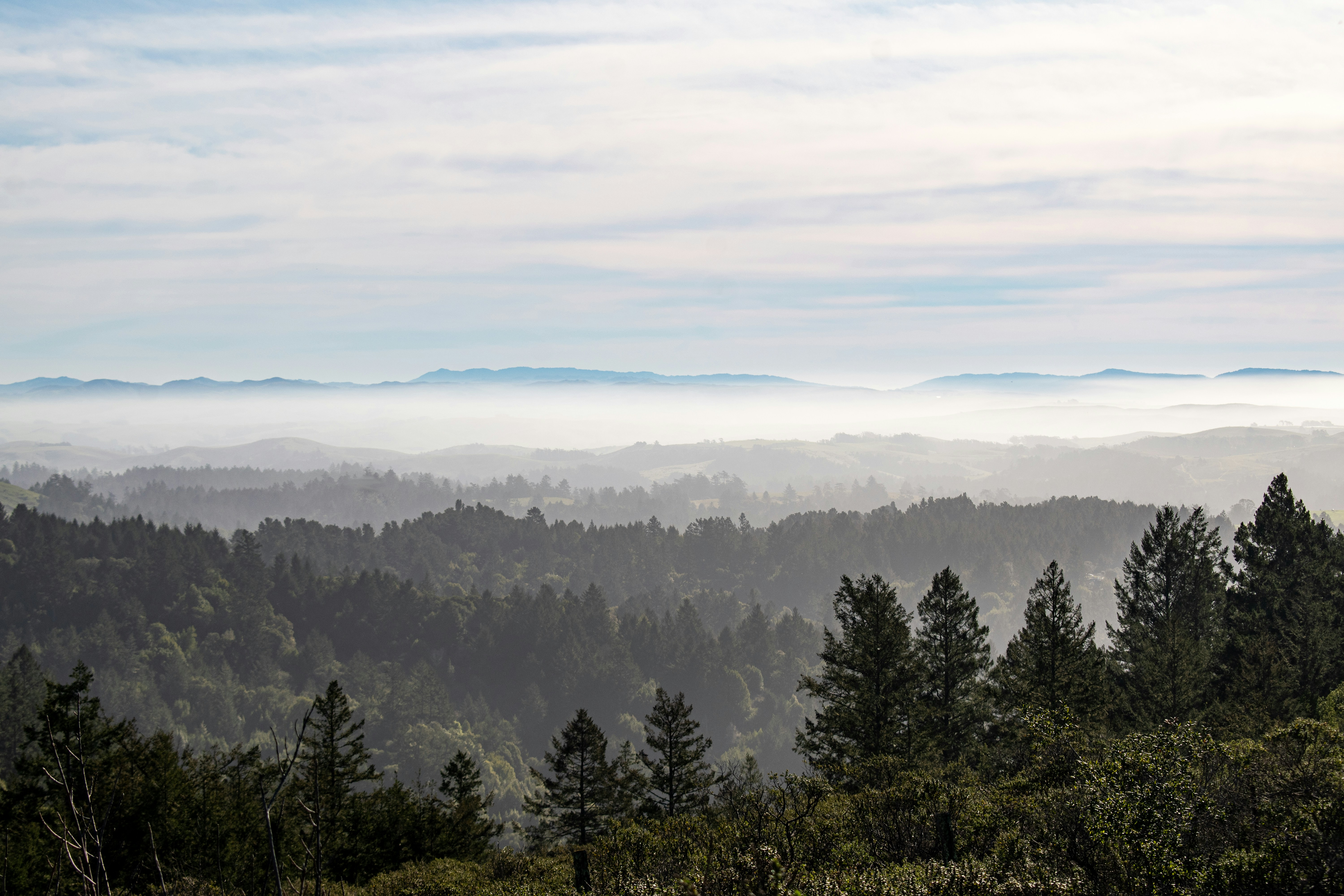 Photo by elisastonephotography