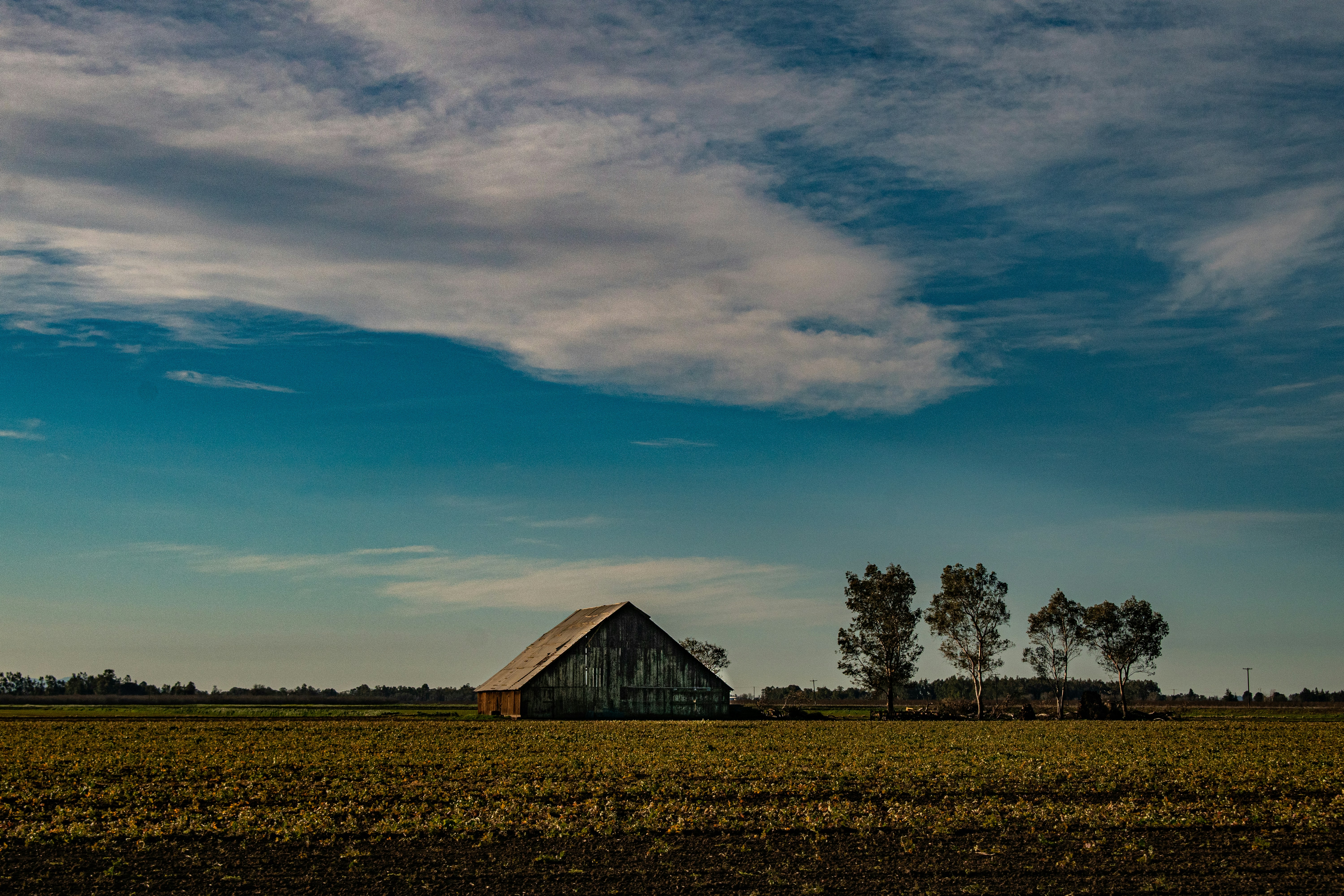 Photo by elisastonephotography