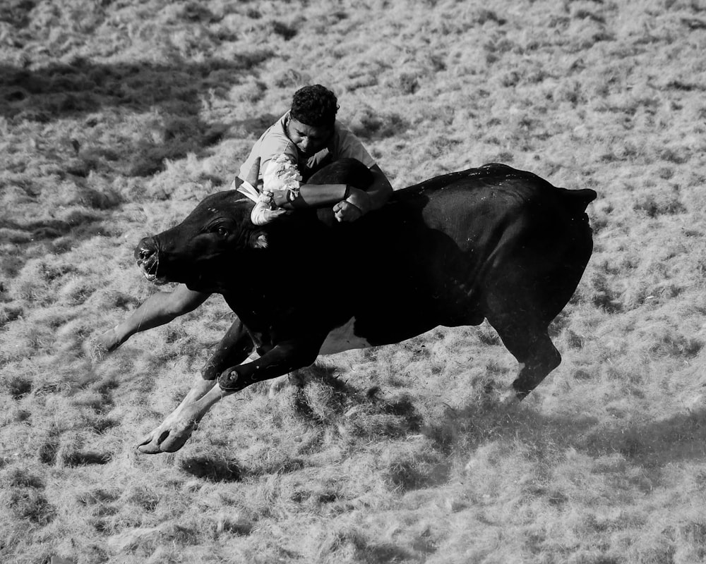 a man riding on the back of a black bull