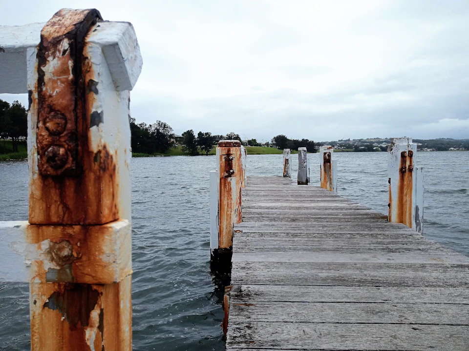 Steiger van verweerde planken die het water in loopt, groene oever op de achtergrond