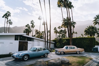 A modern mid-century style house with a flat roof is surrounded by tall, slender palm trees. In the foreground, two classic cars are parked on the driveway: a blue sports car and a cream-colored luxury sedan. The background features a mountainous landscape under a partly cloudy sky, with sunlight filtering through the palm fronds.