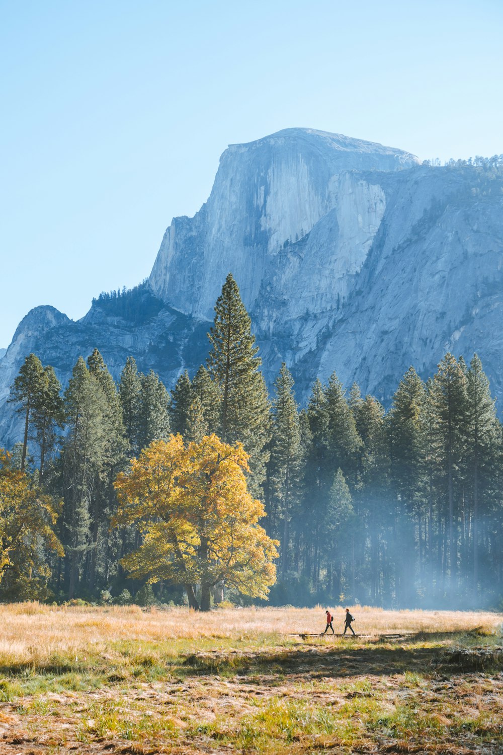 a couple of people walking across a grass covered field