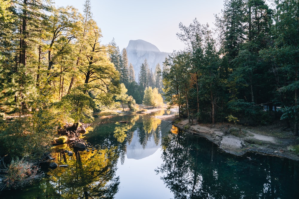 a body of water surrounded by trees and a mountain