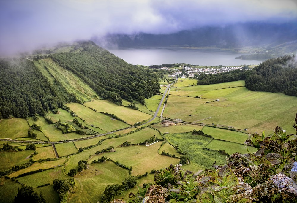 a scenic view of a lush green valley