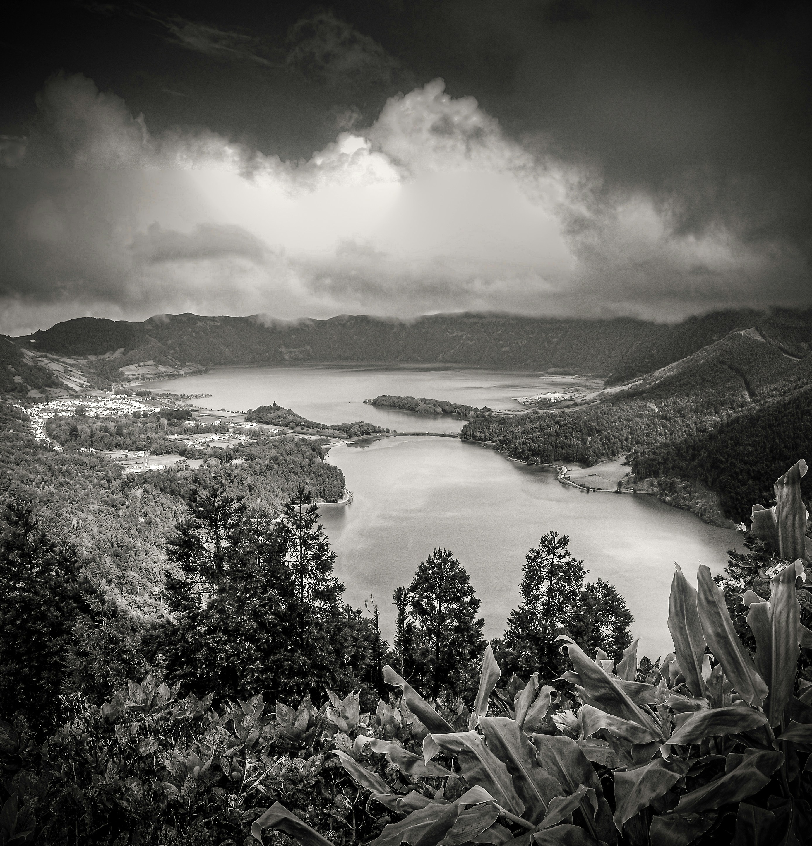 a black and white photo of a lake surrounded by trees