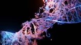 A detailed digital depiction of a DNA helix structure, with strands intertwined and illuminated in contrasting hues. The image is set against a dark background, highlighting the bright blues and pinks that represent the complex molecular formation. The strands are intricately detailed, resembling a flowing pattern of dots and lines that suggest motion and energy.