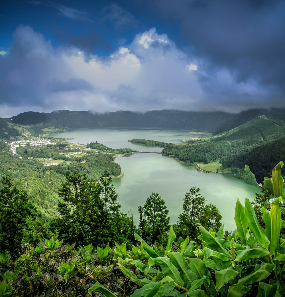 a large body of water surrounded by lush green trees