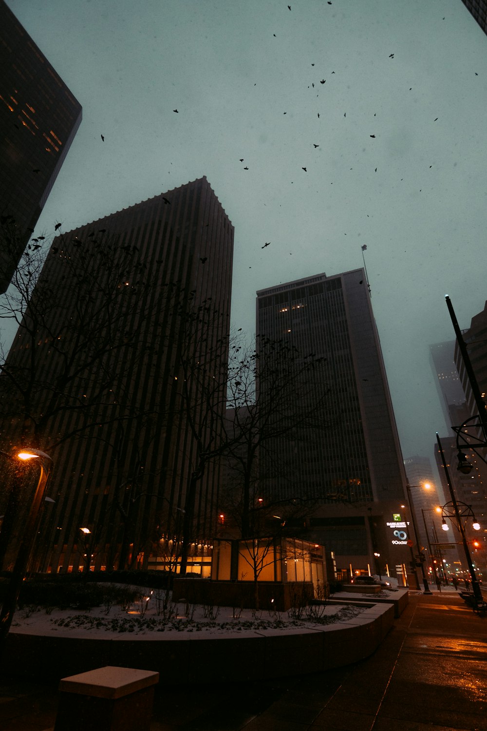 a city street at night with a lot of birds flying in the sky